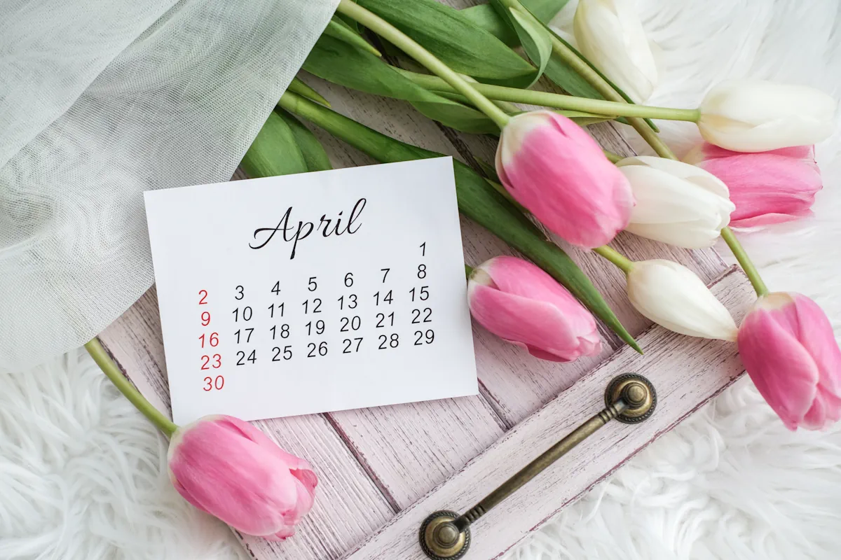 Un calendrier du mois d'Avril posé à côté d'un bouquet de tulipes