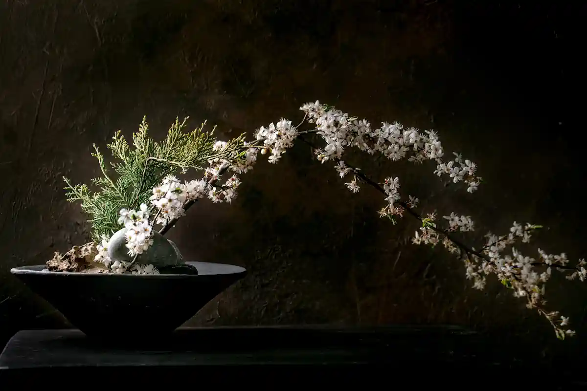 Une fleur blanche dans un socle hexagonal